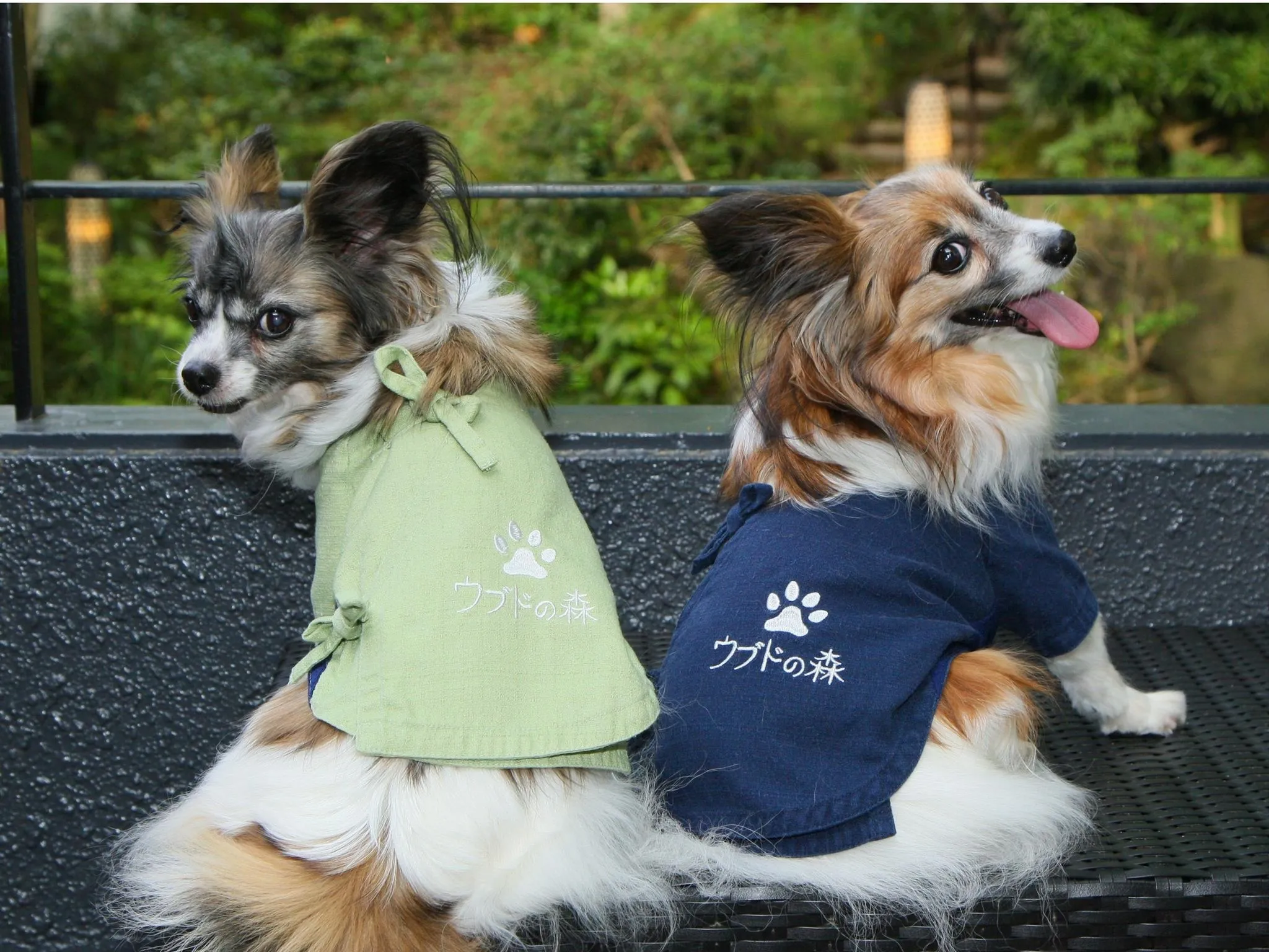 ウブドの森 伊豆高原 宿泊予約はrelux リラックス