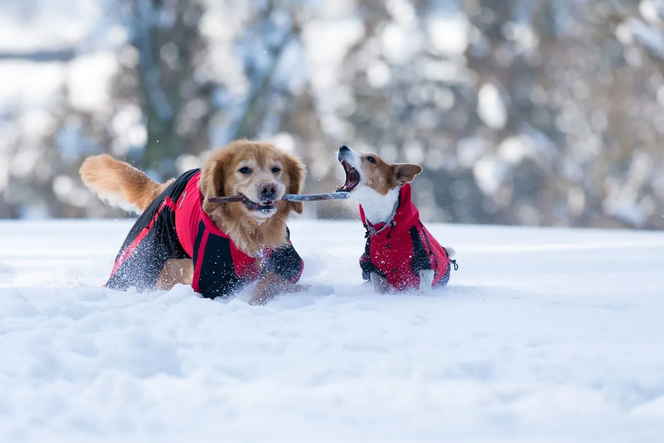 高級ホテル 高級旅館の宿泊予約 Relux リラックス